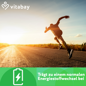 Acido pantotenico (vitamina B5) enterico resistente - 500 mg