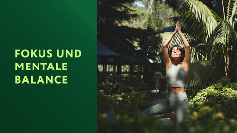 Fokus & Mentale Balance